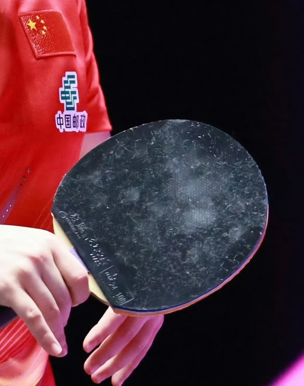 乐鱼官网-莎拉波娃淉照