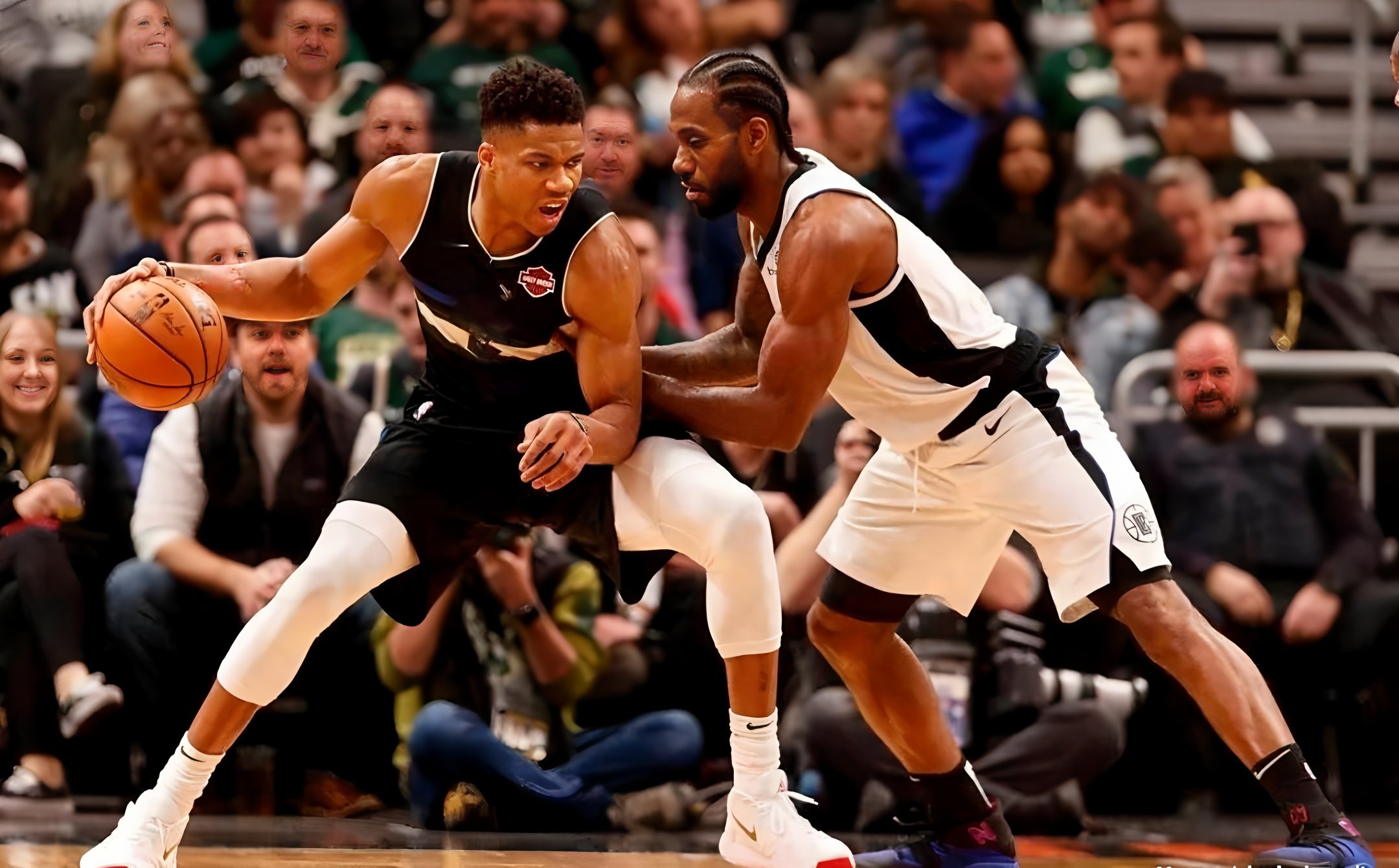 乐鱼app-刚刚！今晚浙江队备战法国杯国际比赛日洛杉矶快船备战欧篮联，密尔沃基雄鹿伤情更新备战中超的简单介绍